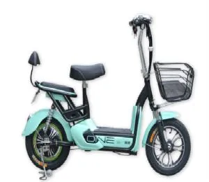 Electric Bike